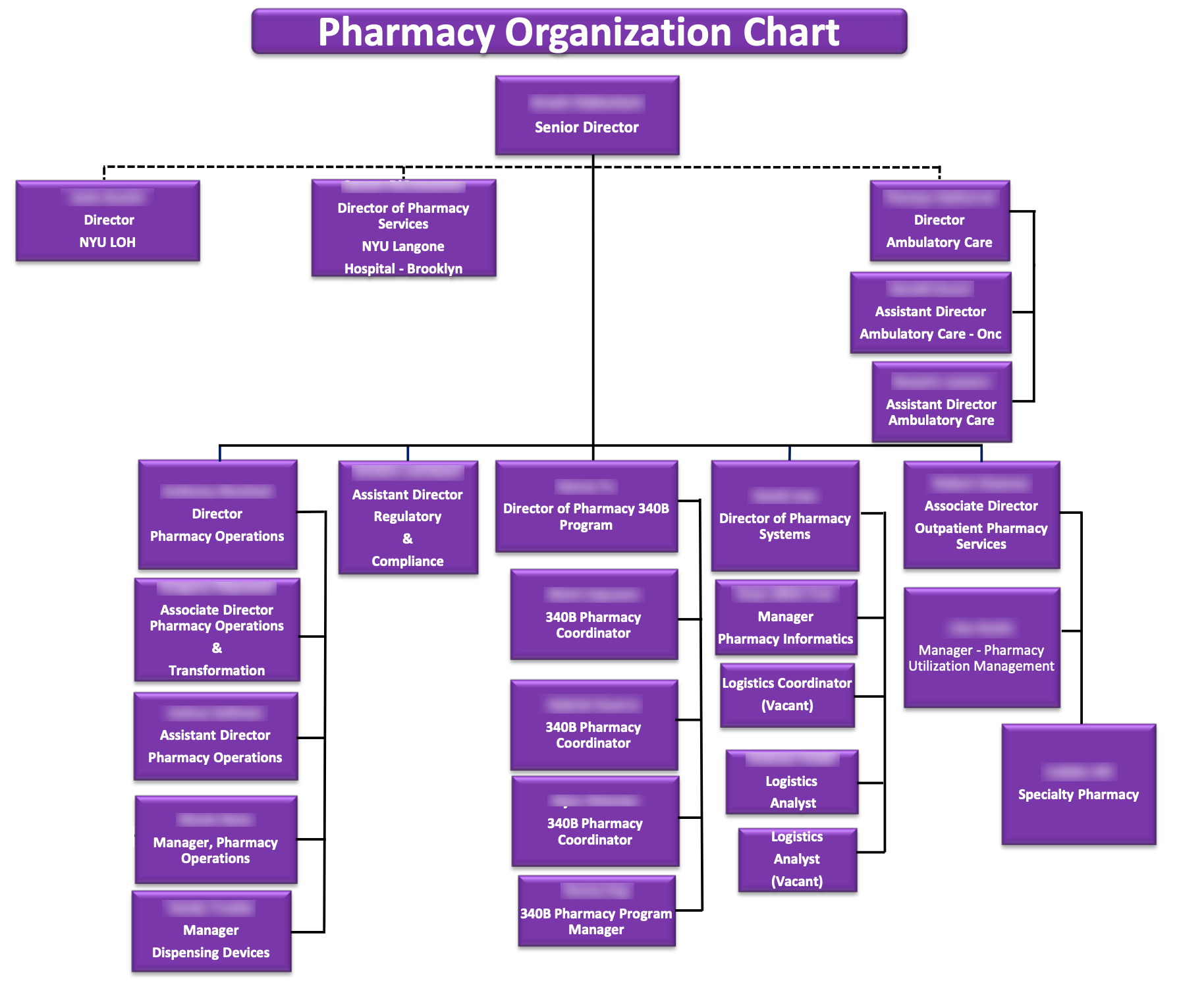 Структура аптечной. Организационная структура аптеки схема. Структура предприятия аптеки. Штат аптечной организации схема. Организационная структура сети аптек.